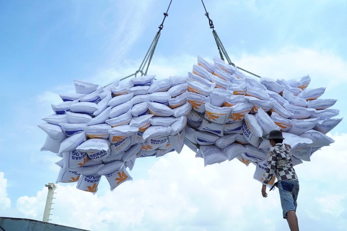 Cục Xuất Nhập khẩu yêu cầu VFA báo cáo vụ gạo “bỏ thầu giá thấp”- Ảnh 1. Cục Xuất Nhập khẩu yêu cầu VFA báo cáo vụ gạo “bỏ thầu giá thấp”- Ảnh 1.