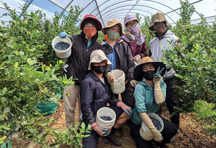 Khuyến cáo chiêu trò lừa đảo đi làm việc ở nước ngoài trên mạng xã hội- Ảnh 1. Khuyến cáo chiêu trò lừa đảo đi làm việc ở nước ngoài trên mạng xã hội- Ảnh 1.