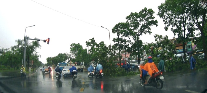 Cây xanh ngã đổ, nhà cửa hư hại vì dông lốc ở Huế- Ảnh 1. Cây xanh ngã đổ, nhà cửa hư hại vì dông lốc ở Huế- Ảnh 1.