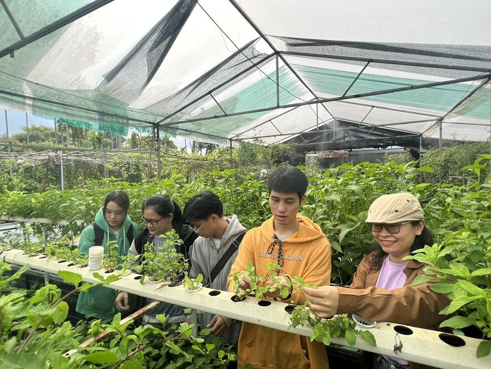 Chị Huỳnh Thị Tú Thuyết (bìa phải) hướng dẫn các học sinh tham quan mô hình aquaponics tại trang trại Tomochan Farm