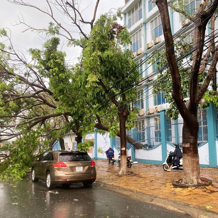 CLIP: Hiện trường nhiều người ngã xe trong cơn mưa trên đường phố Biên Hòa- Ảnh 7. CLIP: Hiện trường nhiều người ngã xe trong cơn mưa trên đường phố Biên Hòa- Ảnh 7.