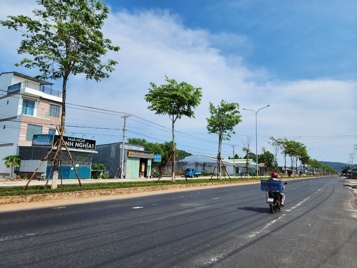 Công ty Cây Xanh Công Minh từng trúng nhiều gói thầu khủng ở Phú Quốc- Ảnh 3. Công ty Cây Xanh Công Minh từng trúng nhiều gói thầu khủng ở Phú Quốc- Ảnh 3.