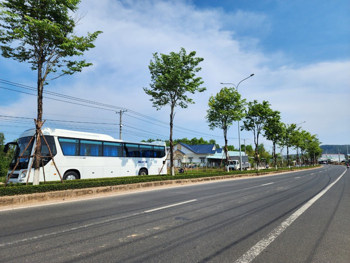 Công ty Cây Xanh Công Minh từng trúng nhiều gói thầu khủng ở Phú Quốc- Ảnh 4. Công ty Cây Xanh Công Minh từng trúng nhiều gói thầu khủng ở Phú Quốc- Ảnh 4.