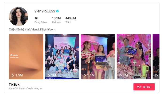 Viên Vibi: Từ “bà trùm nông sản” đến “chiến thần” livestream TikTok thu tiền tỉ- Ảnh 2. Viên Vibi: Từ “bà trùm nông sản” đến “chiến thần” livestream TikTok thu tiền tỉ- Ảnh 2.