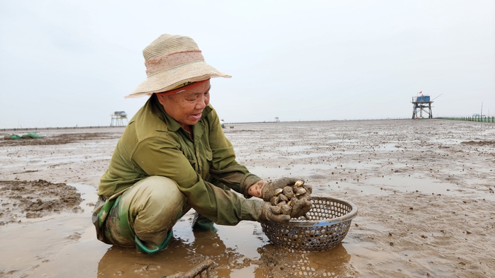 Ra đảo Nẹ ăn, ngủ cùng ngao- Ảnh 5. Ra đảo Nẹ ăn, ngủ cùng ngao- Ảnh 5.