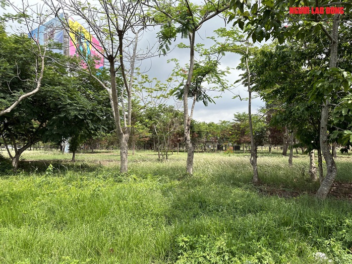 VIDEO: Những hình ảnh chưa đẹp tại cửa ngõ nội ô Cần Thơ- Ảnh 3. VIDEO: Những hình ảnh chưa đẹp tại cửa ngõ nội ô Cần Thơ- Ảnh 3.