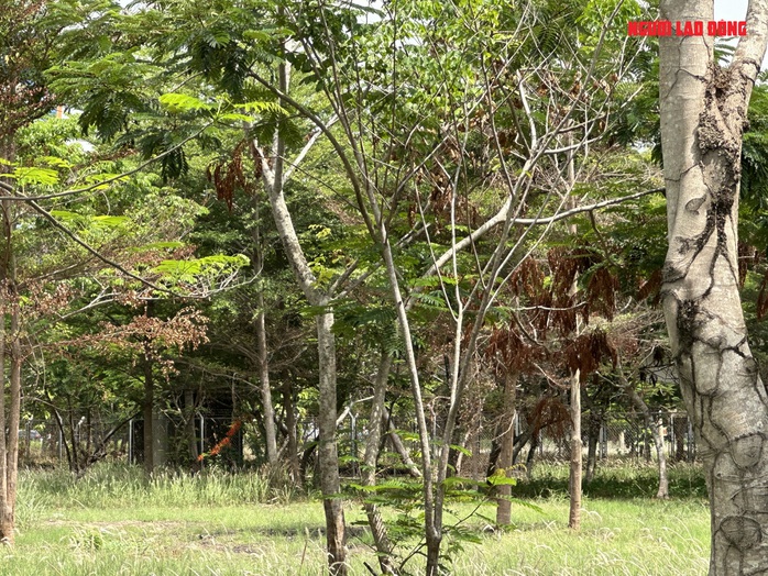 VIDEO: Những hình ảnh chưa đẹp tại cửa ngõ nội ô Cần Thơ- Ảnh 4. VIDEO: Những hình ảnh chưa đẹp tại cửa ngõ nội ô Cần Thơ- Ảnh 4.