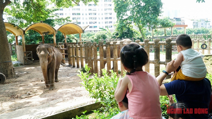 Ngày Quốc tế Thiếu nhi: Đầm Sen, Thảo Cầm Viên đông nghẹt trẻ- Ảnh 5. Ngày Quốc tế Thiếu nhi: Đầm Sen, Thảo Cầm Viên đông nghẹt trẻ- Ảnh 5.