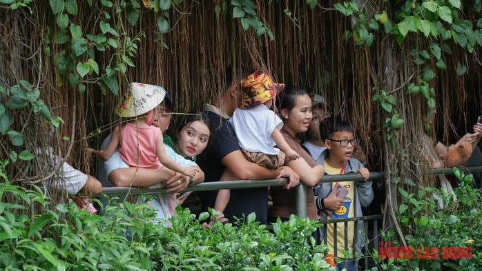 Ngày Quốc tế Thiếu nhi: Đầm Sen, Thảo Cầm Viên đông nghẹt trẻ- Ảnh 7. Ngày Quốc tế Thiếu nhi: Đầm Sen, Thảo Cầm Viên đông nghẹt trẻ- Ảnh 7.