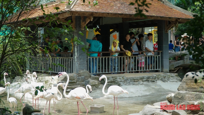 Ngày Quốc tế Thiếu nhi: Đầm Sen, Thảo Cầm Viên đông nghẹt trẻ- Ảnh 6. Ngày Quốc tế Thiếu nhi: Đầm Sen, Thảo Cầm Viên đông nghẹt trẻ- Ảnh 6.