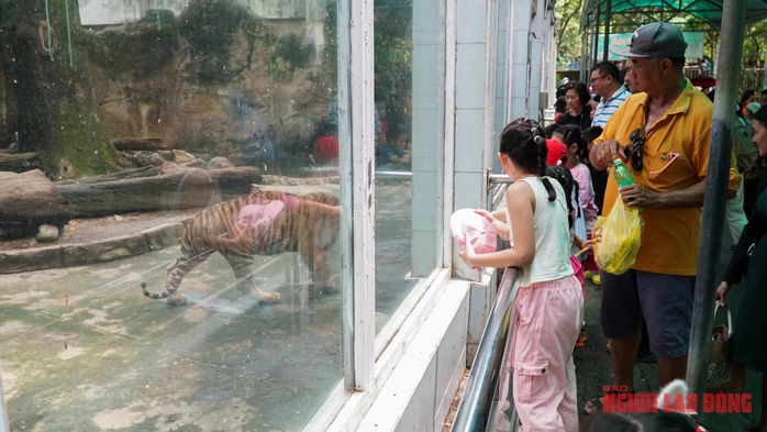 Ngày Quốc tế Thiếu nhi: Đầm Sen, Thảo Cầm Viên đông nghẹt trẻ- Ảnh 4. Ngày Quốc tế Thiếu nhi: Đầm Sen, Thảo Cầm Viên đông nghẹt trẻ- Ảnh 4.
