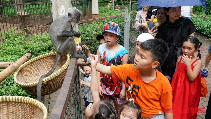 Ngày Quốc tế Thiếu nhi: Đầm Sen, Thảo Cầm Viên đông nghẹt trẻ- Ảnh 9. Ngày Quốc tế Thiếu nhi: Đầm Sen, Thảo Cầm Viên đông nghẹt trẻ- Ảnh 9.