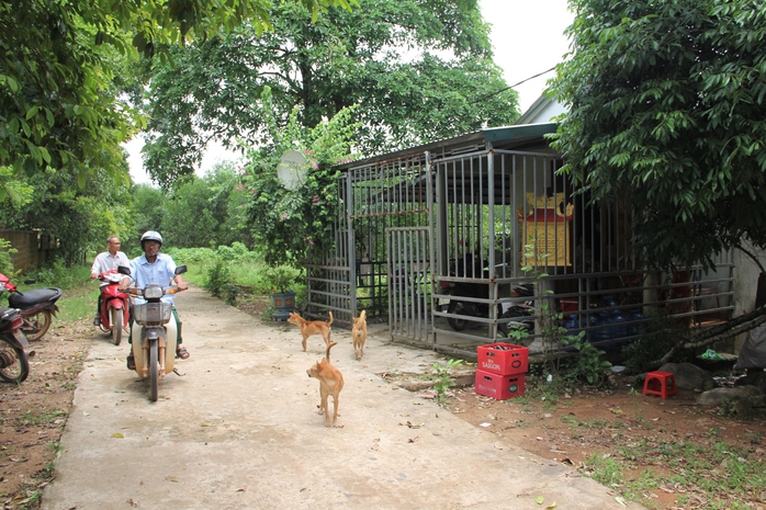TỪ THƯ BẠN ĐỌC: Mòn mỏi chờ cấp đất ở- Ảnh 1. TỪ THƯ BẠN ĐỌC: Mòn mỏi chờ cấp đất ở- Ảnh 1.