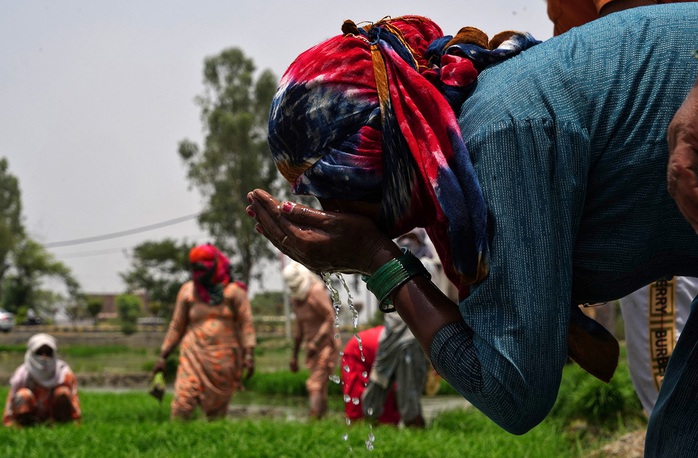 Nông dân uống nước trong giờ nghỉ trưa ở Karnal, bang Haryana - Ấn Độ Ảnh: REUTERS Nông dân uống nước trong giờ nghỉ trưa ở Karnal, bang Haryana - Ấn Độ Ảnh: REUTERS