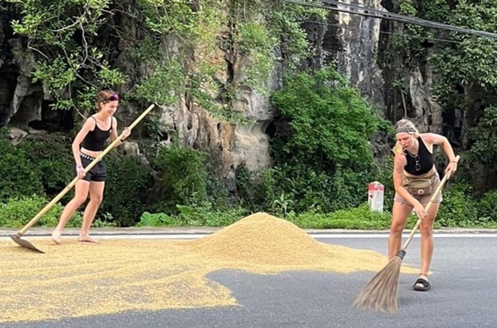 VIDEO: Nữ du khách nước ngoài hối hả giúp dân "chạy" lúa khi trời sắp mưa- Ảnh 1. VIDEO: Nữ du khách nước ngoài hối hả giúp dân "chạy" lúa khi trời sắp mưa- Ảnh 1.