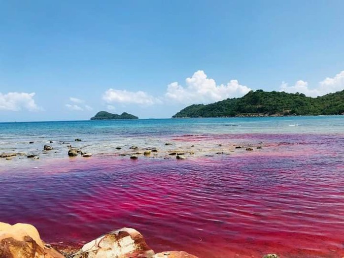 Phú Quốc: Xuất hiện hiện tượng hiếm gặp trên biển- Ảnh 1. Phú Quốc: Xuất hiện hiện tượng hiếm gặp trên biển- Ảnh 1.