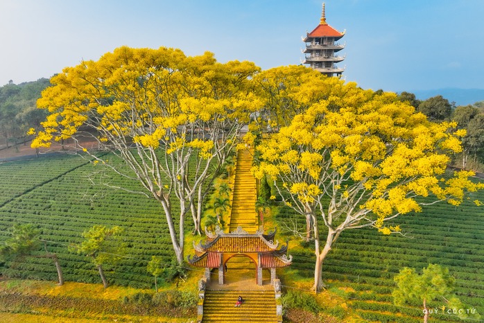 Xây dựng hình ảnh "thành phố hoa phượng vàng" cho Bảo Lộc- Ảnh 3. Xây dựng hình ảnh "thành phố hoa phượng vàng" cho Bảo Lộc- Ảnh 3.