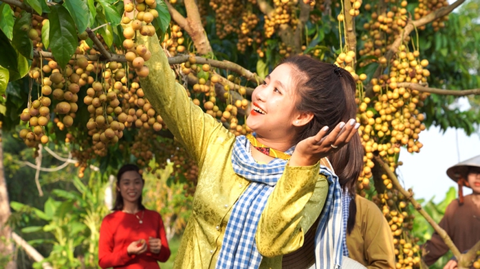 Nhiều du khách thích thú khi tham quan các vườn cây ăn trái ở Cà Mau Ảnh: VÂN DU Nhiều du khách thích thú khi tham quan các vườn cây ăn trái ở Cà Mau Ảnh: VÂN DU