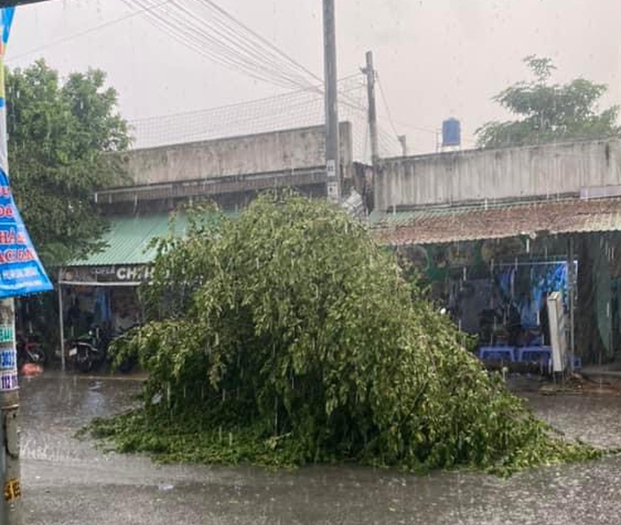 Bình Dương: Cây to bật gốc, làm hư hỏng nhà dân sau trận mưa kèm giông lốc- Ảnh 5. Bình Dương: Cây to bật gốc, làm hư hỏng nhà dân sau trận mưa kèm giông lốc- Ảnh 5.