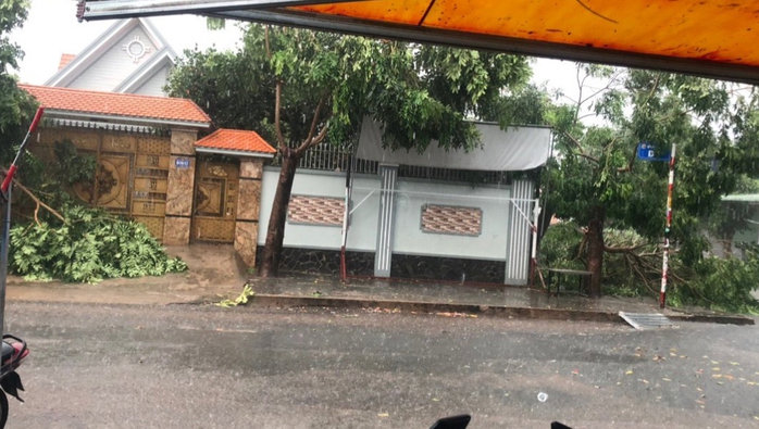 Bình Dương: Cây to bật gốc, làm hư hỏng nhà dân sau trận mưa kèm giông lốc- Ảnh 6. Bình Dương: Cây to bật gốc, làm hư hỏng nhà dân sau trận mưa kèm giông lốc- Ảnh 6.