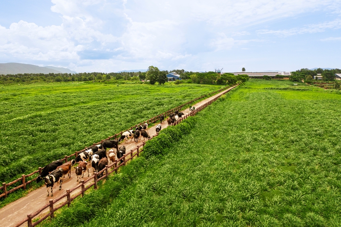 Tạo hệ sinh thái nông nghiệp bền vững để đến Net Zero- Ảnh 1. Tạo hệ sinh thái nông nghiệp bền vững để đến Net Zero- Ảnh 1.