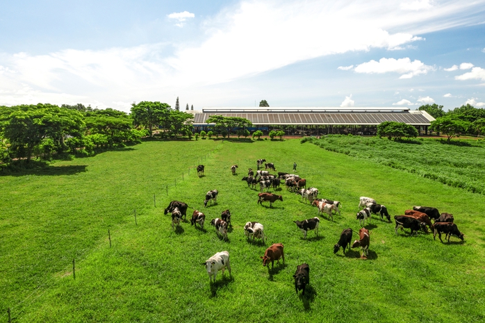 Tạo hệ sinh thái nông nghiệp bền vững để đến Net Zero- Ảnh 5. Tạo hệ sinh thái nông nghiệp bền vững để đến Net Zero- Ảnh 5.
