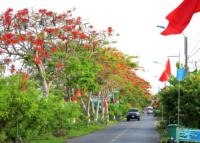 "Tự hào cờ Tổ quốc" – Chương trình đong đầy ý nghĩa- Ảnh 9. "Tự hào cờ Tổ quốc" – Chương trình đong đầy ý nghĩa- Ảnh 9.