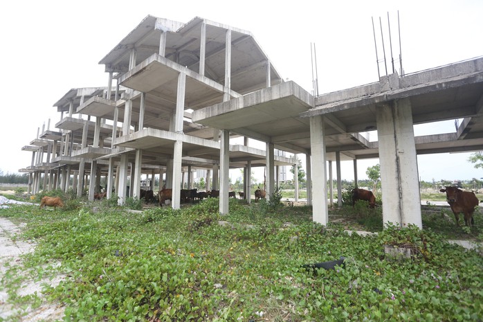Quảng Nam báo cáo về 