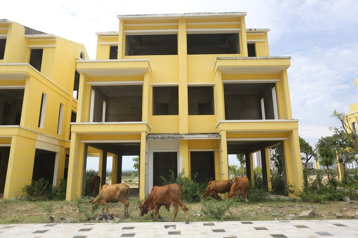 Quảng Nam báo cáo về 