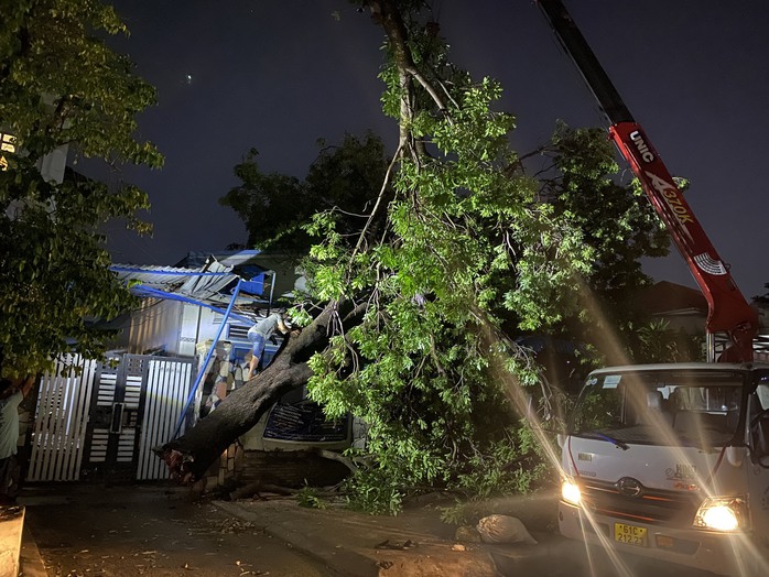 Cây đổ khi mưa lớn kèm giông lốc: Khẩn trương xử lý hiện trường - Ảnh 1. Cây đổ khi mưa lớn kèm giông lốc: Khẩn trương xử lý hiện trường - Ảnh 1.