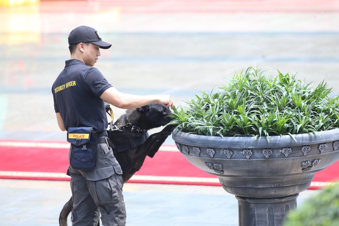 Phủ Chủ tịch trước lễ đón Tổng thống Nga Putin- Ảnh 5. Phủ Chủ tịch trước lễ đón Tổng thống Nga Putin- Ảnh 5.