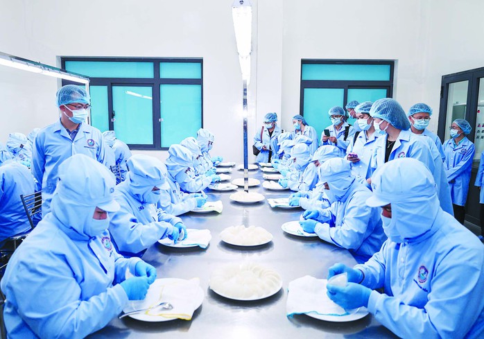 Yến sào thiên nhiên đang được công nhân làm sạch Yến sào thiên nhiên đang được công nhân làm sạch