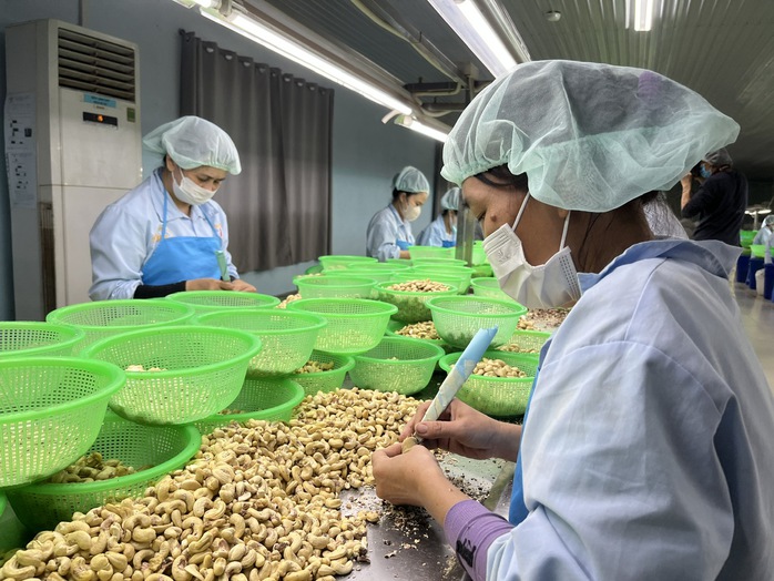 Thực hành ESG giúp doanh nghiệp đáp ứng các tiêu chuẩn quốc tế Thực hành ESG giúp doanh nghiệp đáp ứng các tiêu chuẩn quốc tế