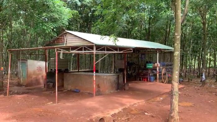 Vì sao bảo vệ nông trường cao su ở Bình Phước bị tấn công?- Ảnh 1.