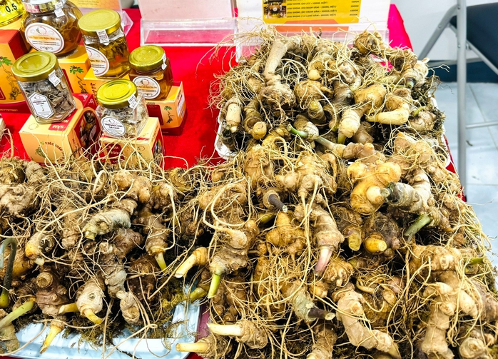Chuyên gia Hàn Quốc chỉ cách để sâm Việt cạnh tranh quốc tế- Ảnh 1. Chuyên gia Hàn Quốc chỉ cách để sâm Việt cạnh tranh quốc tế- Ảnh 1.