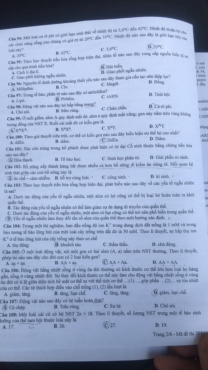 Thi tốt nghiệp THPT: Chi tiết đề thi tổ hợp, xem gợi ý giải đề- Ảnh 10.