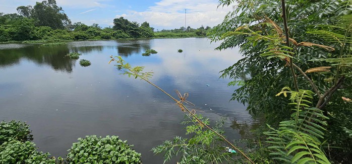 Cá chết bất thường trên sông ở Quảng Nam- Ảnh 6. Cá chết bất thường trên sông ở Quảng Nam- Ảnh 6.