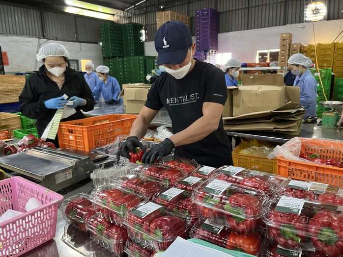 Doanh nghiệp ngành hàng rau củ quả bị giảm doanh thu vì ảnh hưởng khó khăn chung Ảnh: PHƯƠNG AN Doanh nghiệp ngành hàng rau củ quả bị giảm doanh thu vì ảnh hưởng khó khăn chung Ảnh: PHƯƠNG AN