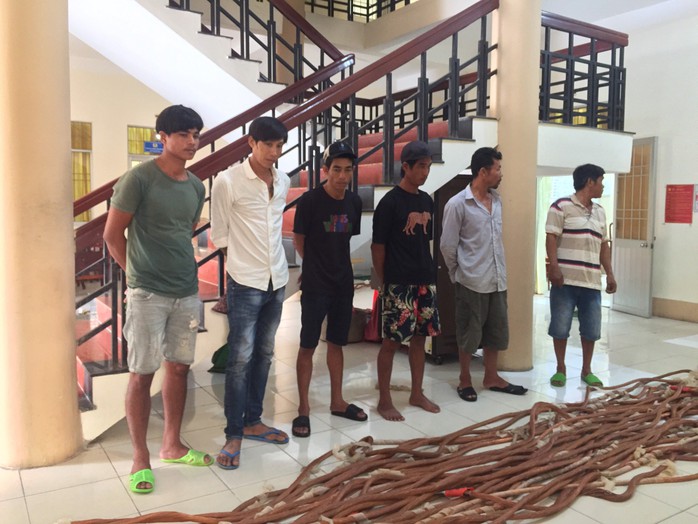 Thông tin mới vụ mất trộm tại nhà máy Điện gió ở Cà Mau- Ảnh 1. Thông tin mới vụ mất trộm tại nhà máy Điện gió ở Cà Mau- Ảnh 1.