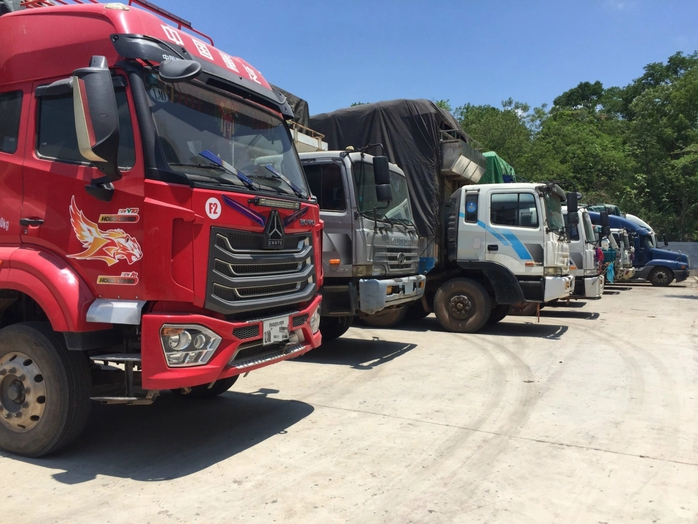 Cảnh sát bắt giữ loạt ô tô chở 180 tấn than củi qua biên giới- Ảnh 2. Cảnh sát bắt giữ loạt ô tô chở 180 tấn than củi qua biên giới- Ảnh 2.