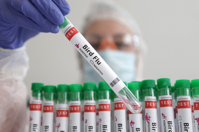 Lưu ý của WHO về virus cúm A/H5N2- Ảnh 1. Lưu ý của WHO về virus cúm A/H5N2- Ảnh 1.