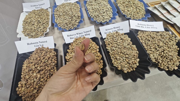 Giá cà phê Robusta vượt Arabica, chuyện chưa từng có trong hơn 50 năm- Ảnh 1. Giá cà phê Robusta vượt Arabica, chuyện chưa từng có trong hơn 50 năm- Ảnh 1.