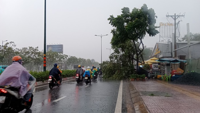 TP HCM hứng mưa to, đã có cây ngã và nhiều nơi ngập sâu- Ảnh 5. TP HCM hứng mưa to, đã có cây ngã và nhiều nơi ngập sâu- Ảnh 5.