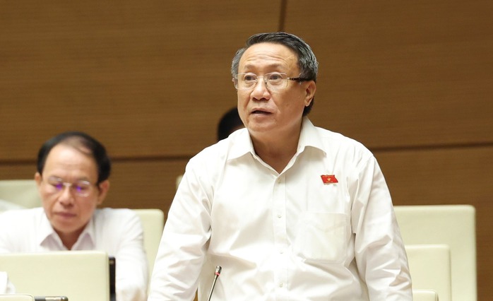 Đại biểu đồng thuận thí điểm thành lập Khu thương mại tự do Đà Nẵng- Ảnh 2. Đại biểu đồng thuận thí điểm thành lập Khu thương mại tự do Đà Nẵng- Ảnh 2.