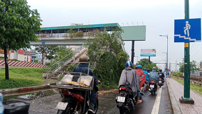TP HCM hứng mưa to, đã có cây ngã và nhiều nơi ngập sâu- Ảnh 4. TP HCM hứng mưa to, đã có cây ngã và nhiều nơi ngập sâu- Ảnh 4.