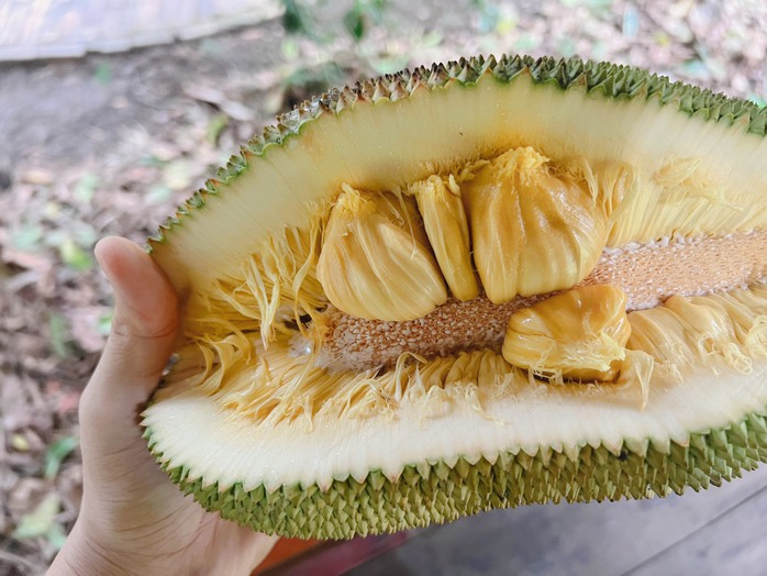 Đến Cần Thơ dịp hè, tha hồ thưởng thức trái ngon- Ảnh 11. Đến Cần Thơ dịp hè, tha hồ thưởng thức trái ngon- Ảnh 11.