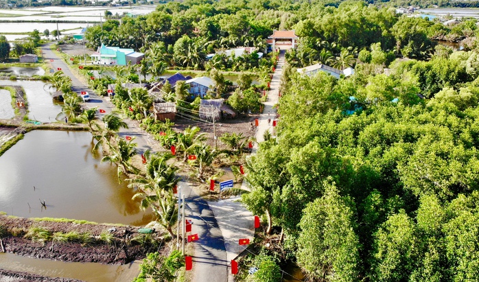 Những ngả đường rợp bóng cờ đỏ sao vàng tại tỉnh Bạc Liêu Ảnh: HOÀNG TRIỀU Những ngả đường rợp bóng cờ đỏ sao vàng tại tỉnh Bạc Liêu Ảnh: HOÀNG TRIỀU
