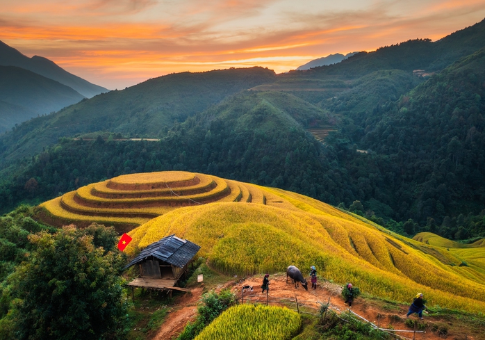 Hoàng hôn trên ruộng bậc thang Mù Cang Chải Ảnh: VŨ PHI LONG Hoàng hôn trên ruộng bậc thang Mù Cang Chải Ảnh: VŨ PHI LONG