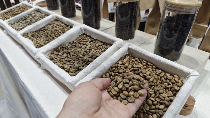 Sốc với giá cà phê Robusta - Ảnh 1. Sốc với giá cà phê Robusta - Ảnh 1.