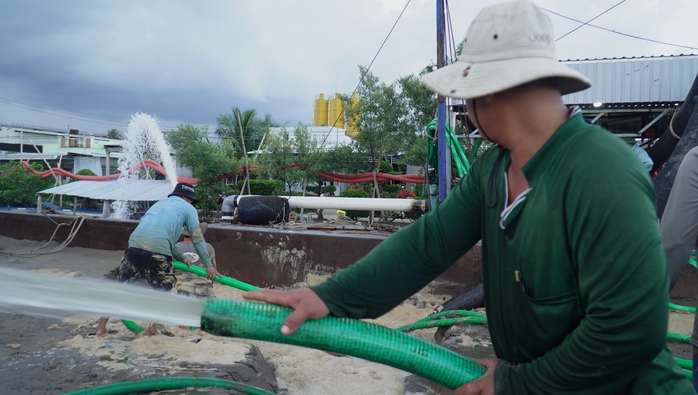 Hối hả vận chuyển cát biển về dự án cao tốc ở Cà Mau- Ảnh 3. Hối hả vận chuyển cát biển về dự án cao tốc ở Cà Mau- Ảnh 3.